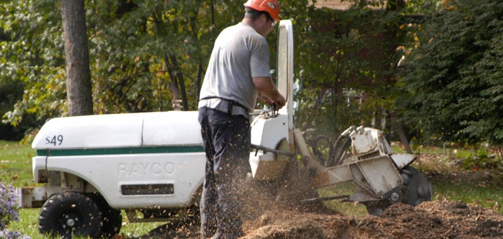 stump grinding