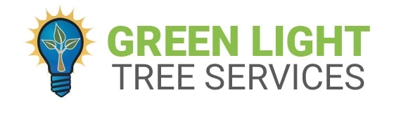 Green Light Tree Services Logo in Suffolk County, NY