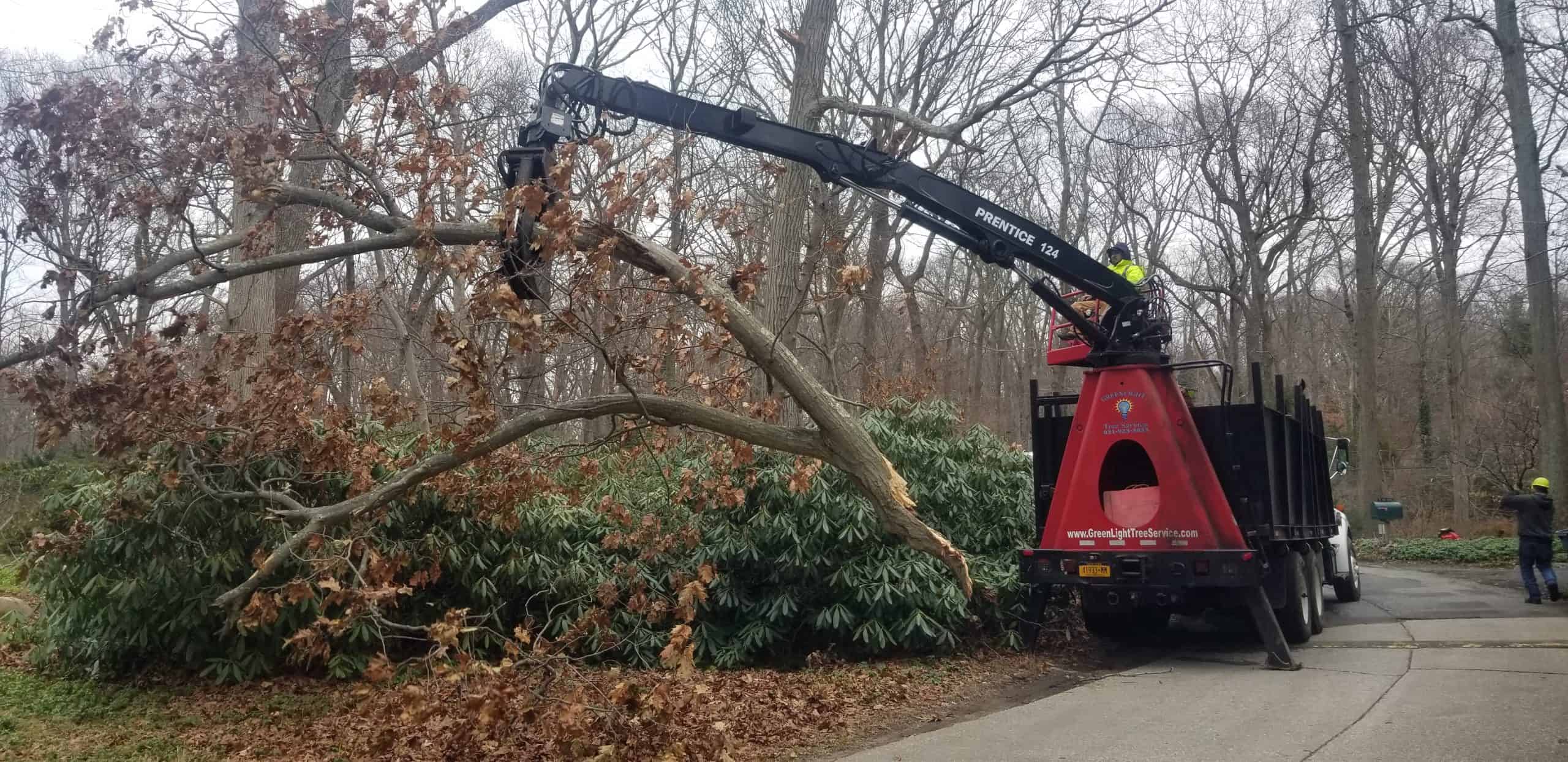 A machine for removing fallen trees in Suffolk County, NY