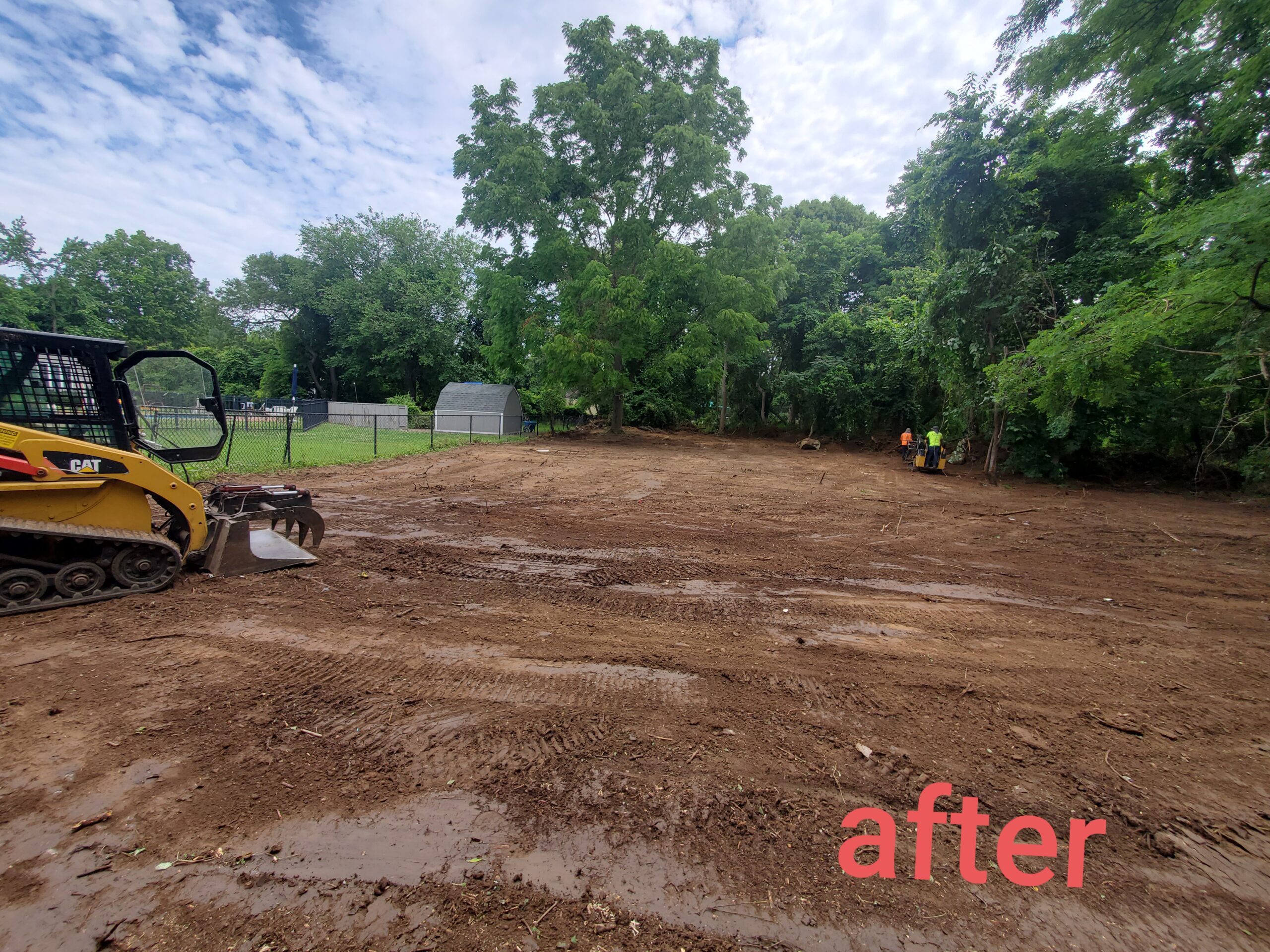 Tree Service Long Island Tree Removal & Maintenance