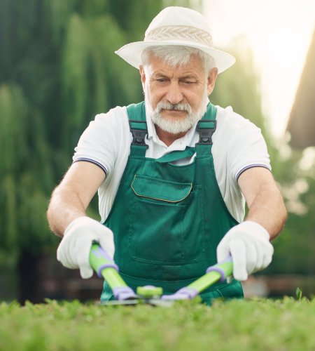 gardener trimming bushes and trees.