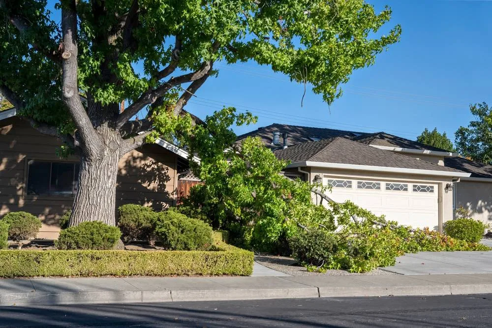 A large, green tree branch has broken off a massive tree, lying on the roof and obscuring the garage door of a suburban house, representing storm damage in Suffolk County, NY.