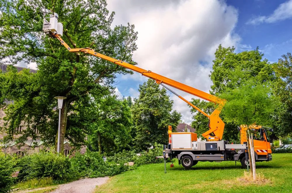A large, orange and white tree trimming truck with an extended boom and white bucket reaches high into a dense canopy of a park or large yard tree against a cloudy blue sky in Suffolk County, NY.