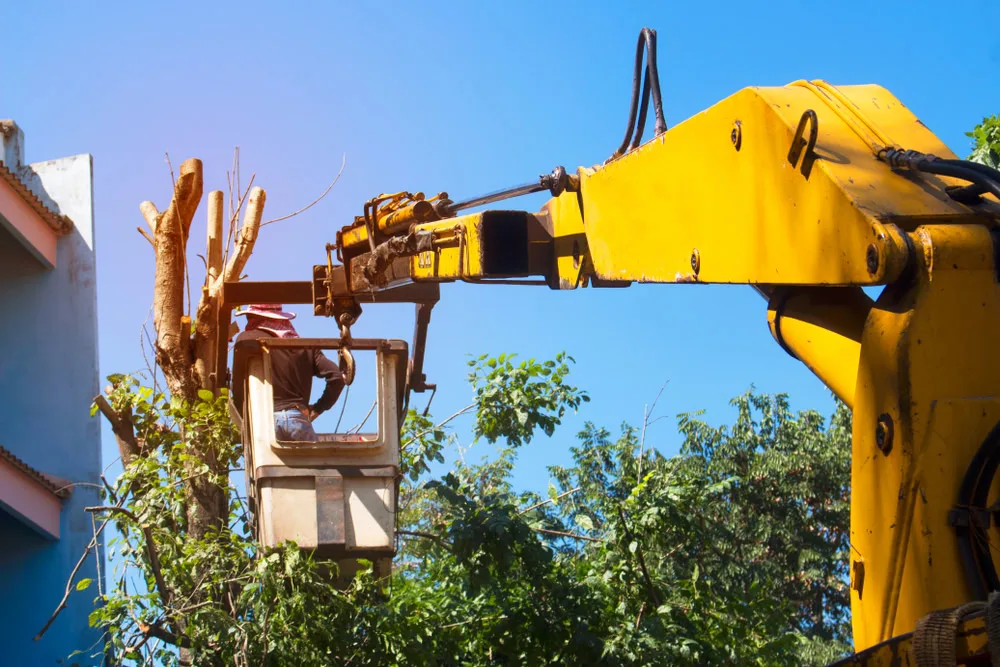 A worker in a white bucket lift, attached to a large yellow crane arm, is trimming the top of a tree next to a building, indicating professional tree removal or maintenance in Suffolk County, NY.