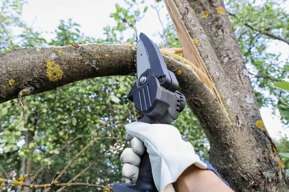 A hand wearing a white work glove holds a small, cordless electric chainsaw, preparing to cut a broken or damaged branch from a tree in a residential area of Suffolk County, NY.
