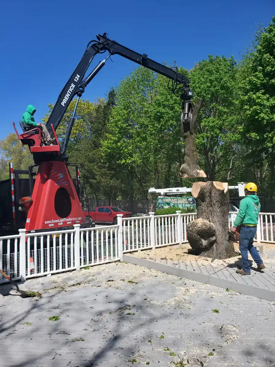 Stump grinding machine in Suffolk County, NY