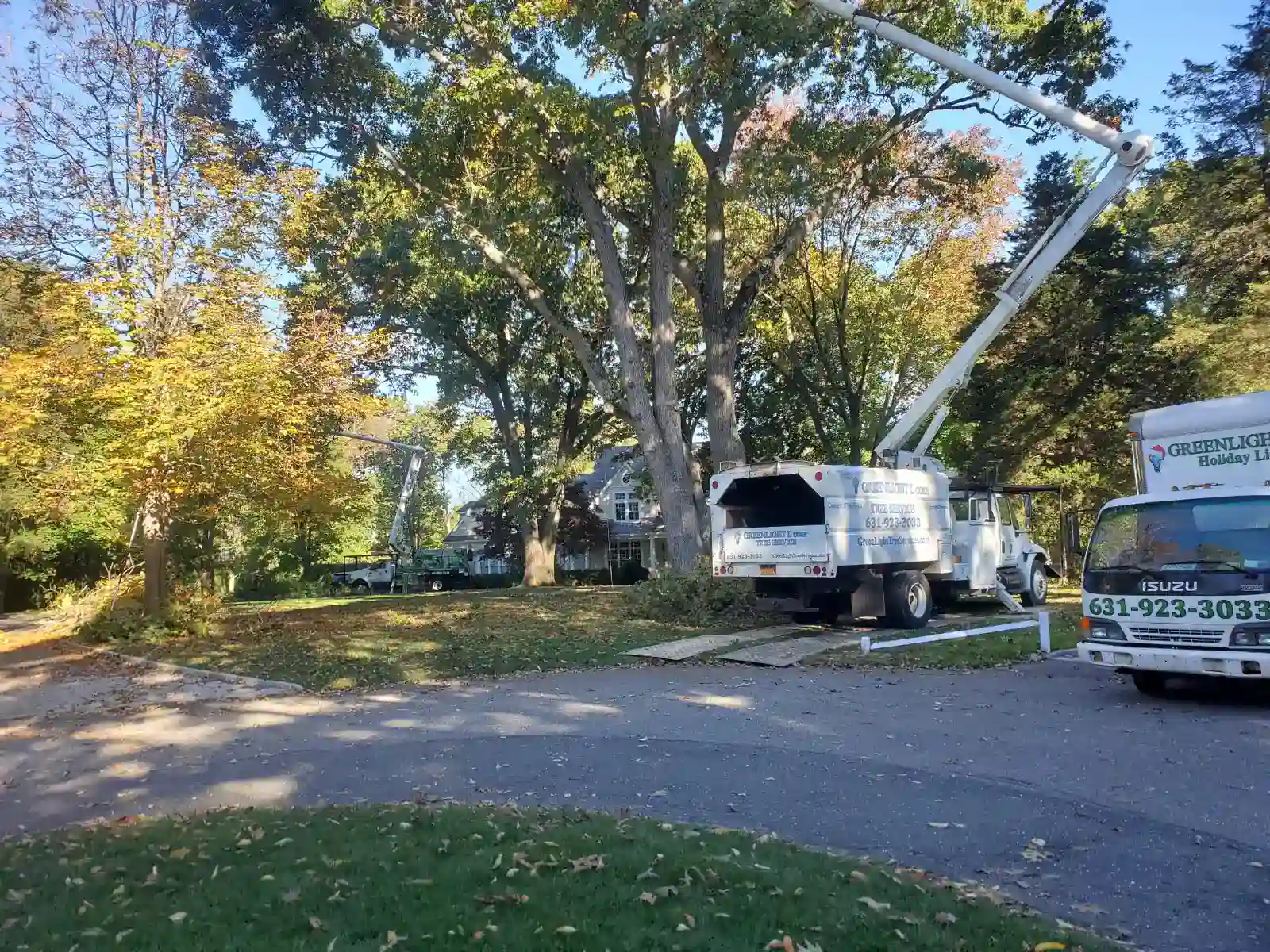 Tree service in Suffolk County, NY