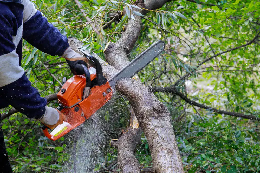man cuttting tree branch in Suffolk County, NY
